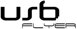 USB FLYER logo
