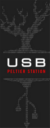 USB PELTIER STATION logo