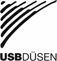 USBDÜSEN logo