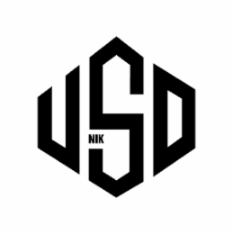USDNIK logo