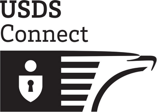 USDS CONNECT logo