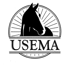 USEMA logo