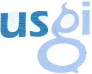 USGI logo