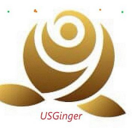 USGINGER logo