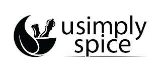 USIMPLY SPICE logo