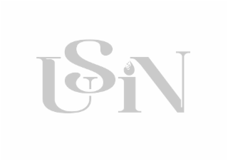 USIN logo