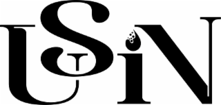 USIN logo