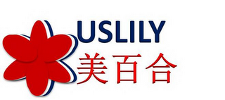 USLILY logo
