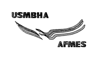 USMBHA AFMES logo