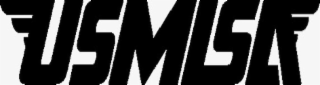 USMLSA logo