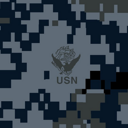 USN logo