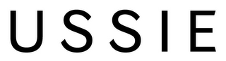 USSIE logo