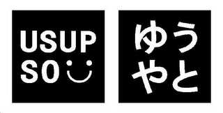 USUPSO logo