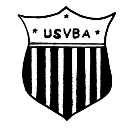 USVBA logo