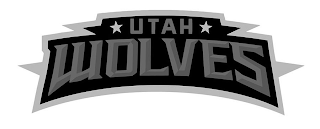 UTAH WOLVES logo