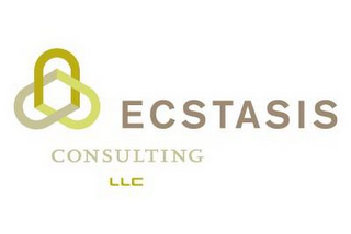 UUU ECSTASIS CONSULTING LLC logo