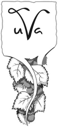 UVA logo