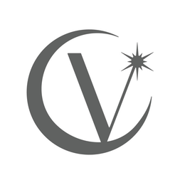 V logo