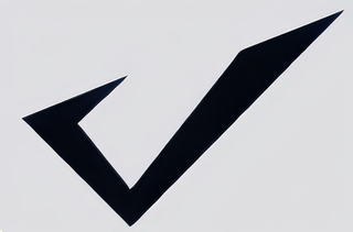 V logo