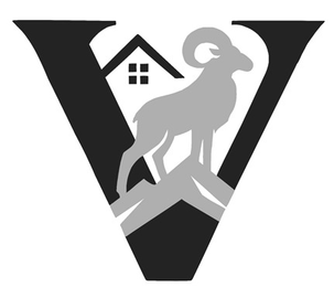 V logo