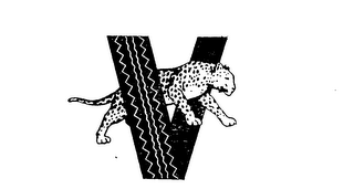 V logo