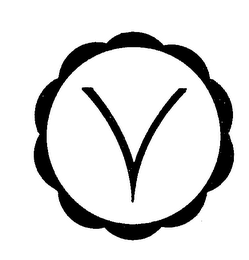 V logo