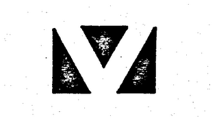 V logo