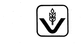 V logo