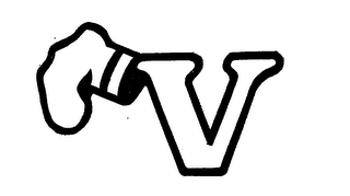 V logo