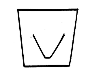 V logo