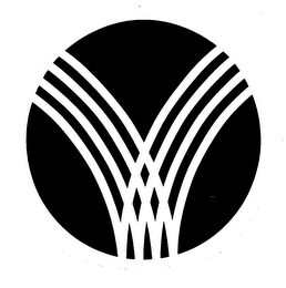 V logo