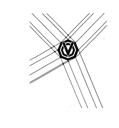 V logo