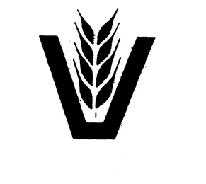 V logo