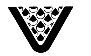 V logo