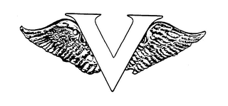 V logo
