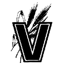 V logo
