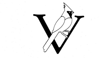 V logo