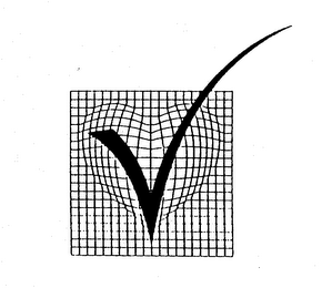 V logo