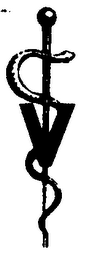 V logo