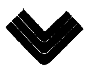 V logo