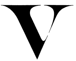 V logo