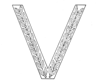 V logo