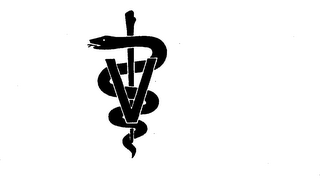 V logo