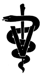V logo