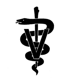 V logo