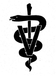 V logo