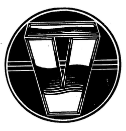 V logo