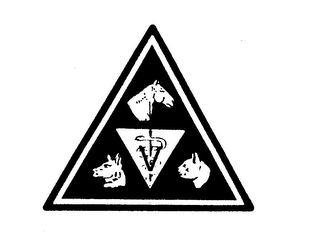 V logo