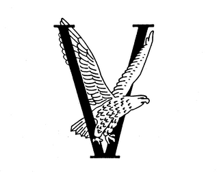 V logo