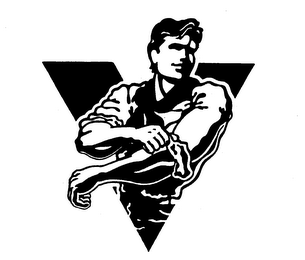 V logo